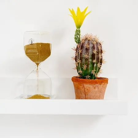 La Mansardina Al Mare Appartement Tortoreto