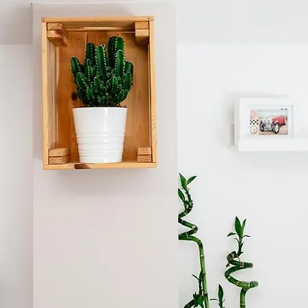 La Mansardina Al Mare *