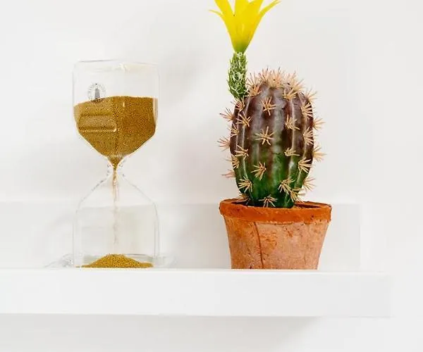 La Mansardina Al Mare Apartmán Tortoreto