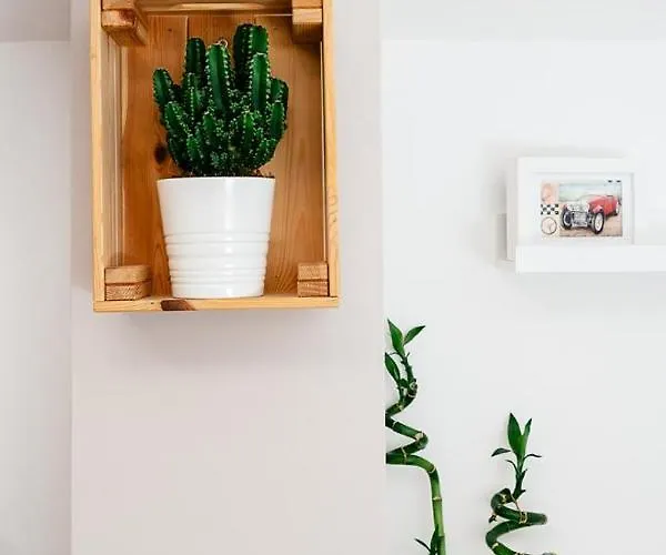 La Mansardina Al Mare *